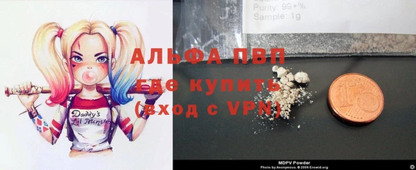 шишки Белоозёрский