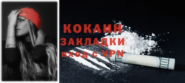 шишки Белоозёрский