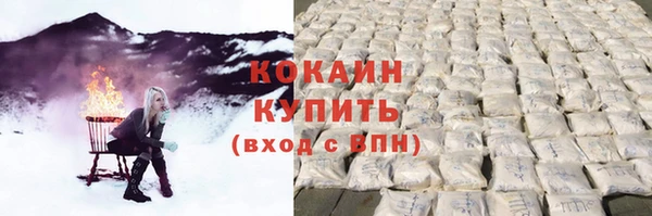 шишки Белоозёрский