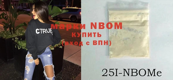 шишки Белоозёрский