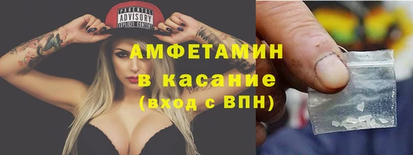 шишки Белоозёрский