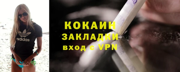 шишки Белоозёрский