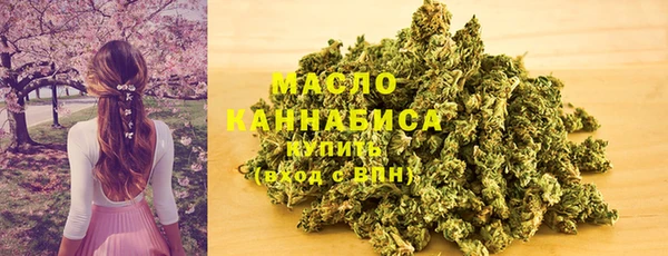 шишки Белоозёрский