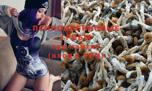 шишки Белоозёрский