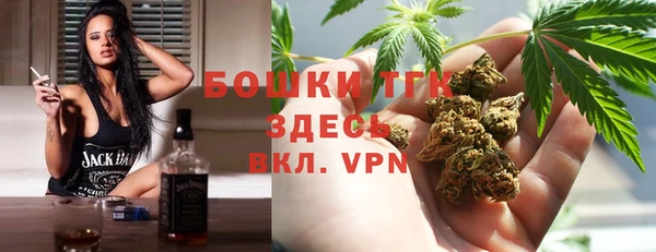 шишки Белоозёрский