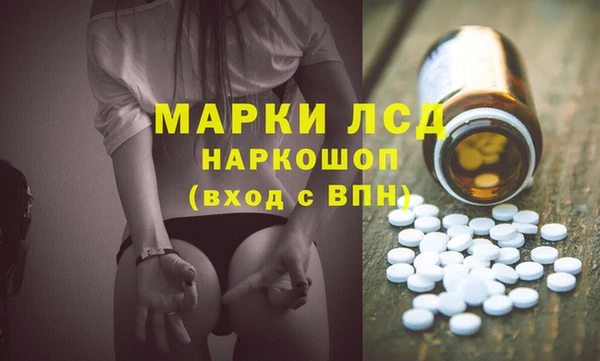 шишки Белоозёрский