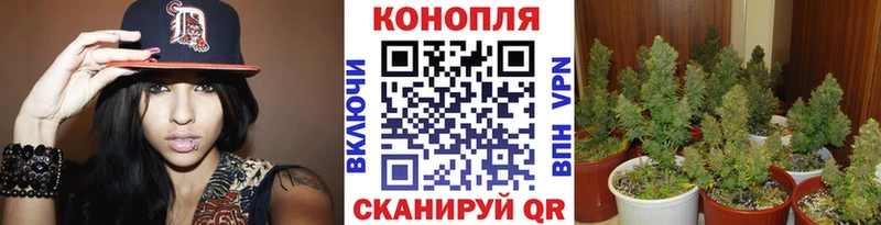 Шишки марихуана индика  Борисоглебск 